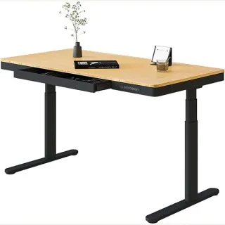 FlexiSpot FlexiSpot Q8